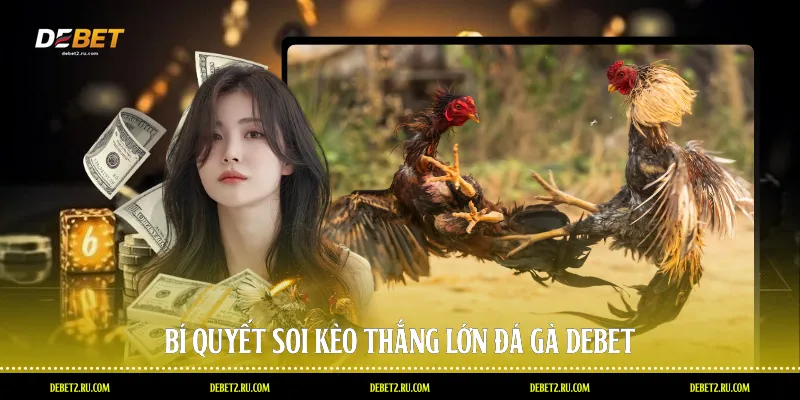 Bí quyết soi kèo thắng lớn đá gà Debet
